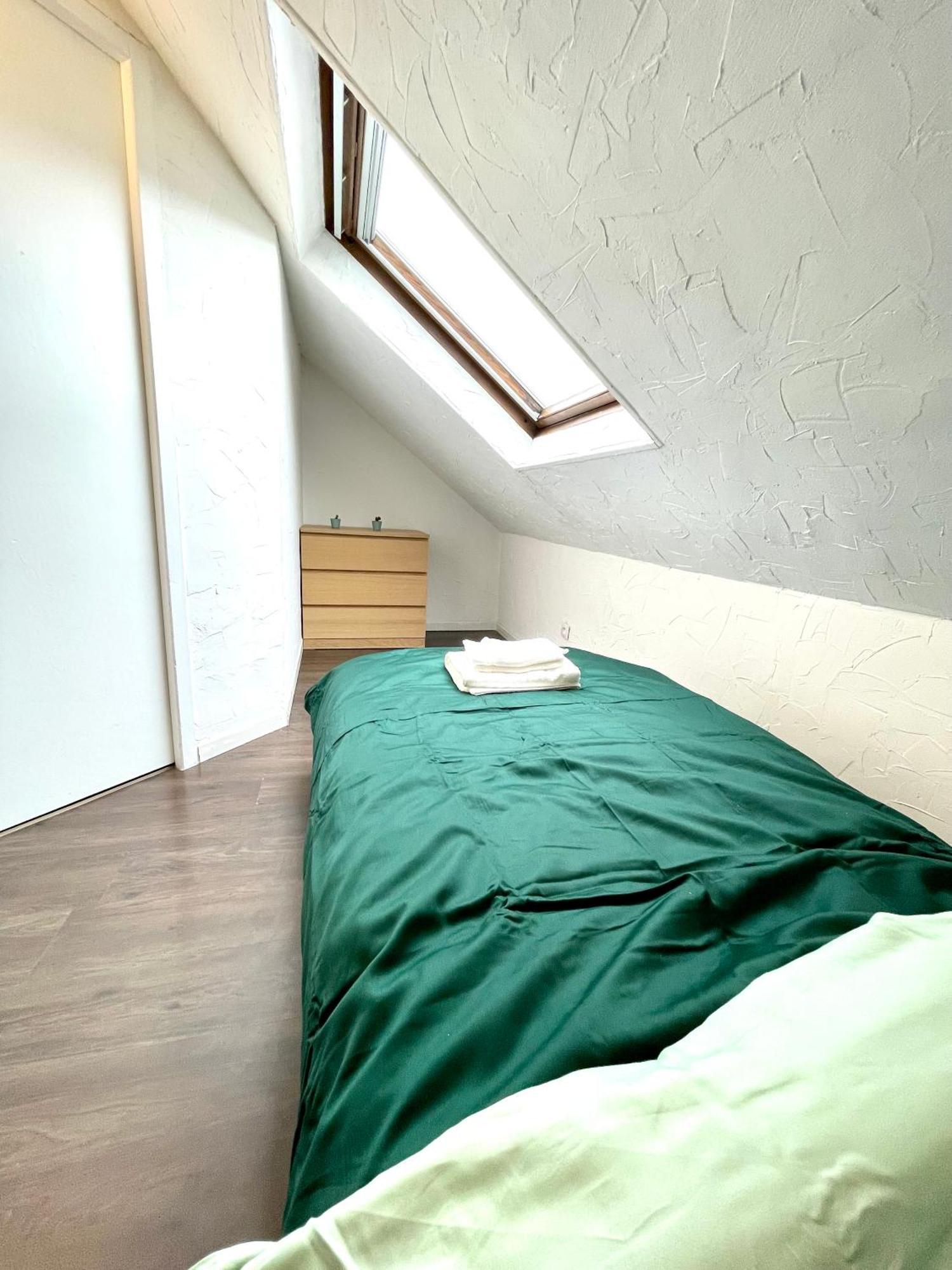 Appartement Duplex 90M2 - 3 Chambres - Мюлуз Екстериор снимка